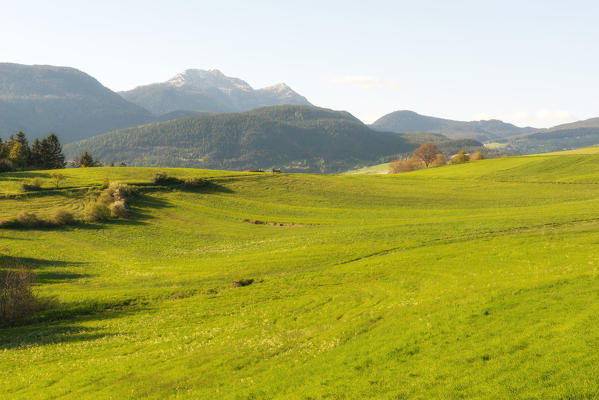Italy, Trentino Alto Adige, sunset on the prairies of Non valley on a spring day.