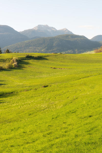 Italy, Trentino Alto Adige, sunset on the prairies of Non valley on a spring day.