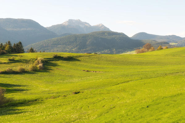 Italy, Trentino Alto Adige, sunset on the prairies of Non valley on a spring day.