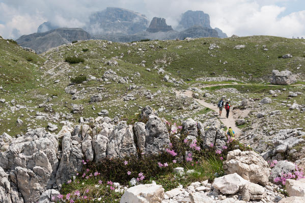 Europe, Italy, Dolomites, Belluno, Bolzano, Park of Tre Cime di Lavaredo. Hikers
