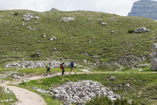 Europe, Italy, Dolomites, province of Bolzano. Tre Cime di Lavaredo. Hikers towards Locatelli refuge.