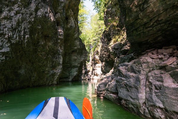 The canyon of Novella river seen from kayak, St. Giustina Lake, Non valley, Trento province, Trentino South Tyrol, Italy, Europe