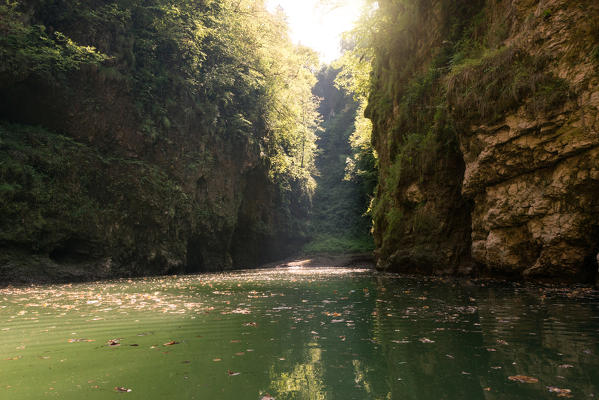 Light in Novella canyon, St. Giustina Lake, Non valley, Trento province, Trentino South Tyrol, Italy, Europe
