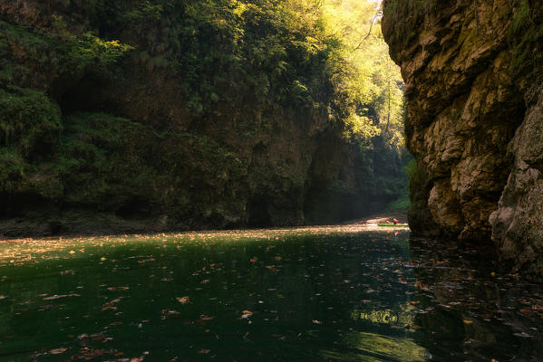 Novella canyon, St. Giustina Lake, Non valley, Trento province, Trentino South Tyrol, Italy, Europe