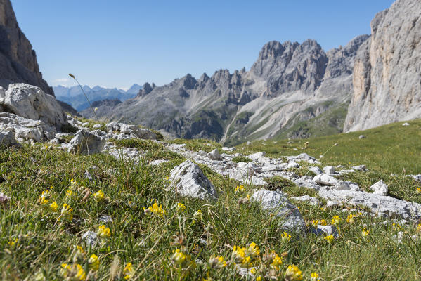 Panoramic view of the Gardeccia's peaks , dolomites, Fassa valley, Trentino South Tyrol, Italy