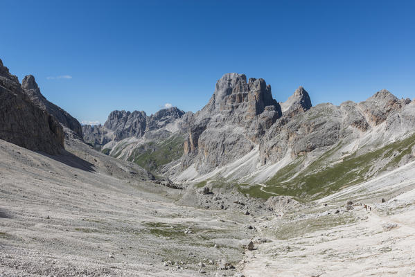 Vajolet valley ant the Catinaccio group, dolomites, Fassa valley, Trentino South Tyrol, Italy