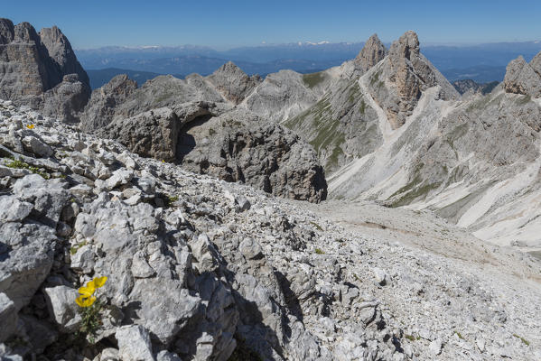 Panoramic view of Antermoia valley seen from Antermoia pass, dolomites, Fassa valley, Trentino South Tyrol, Italy
