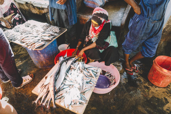 East Africa, Tanzania, Zanzibar, Stone Town fish market