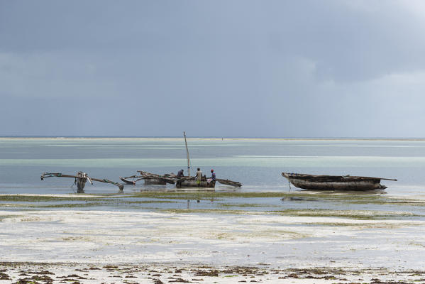 East Africa, Tanzania, Zanzibar, Kiwengwa beach on a summer day at low tide.