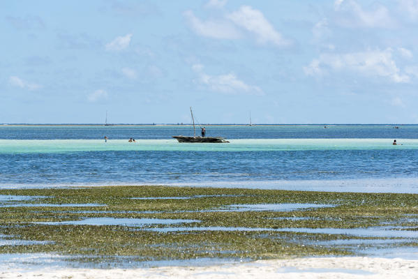 East Africa, Tanzania, Zanzibar, Kiwengwa beach on a summer day at low tide.