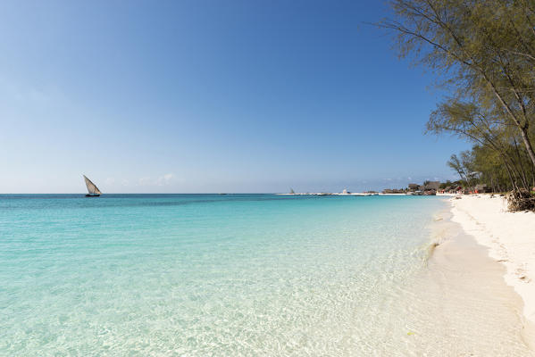East Africa, Tanzania, Zanzibar, Kendwa beach on a summer day.