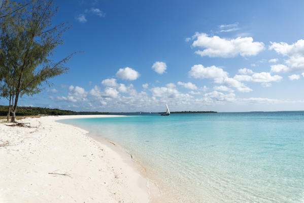 East Africa, Tanzania, Zanzibar, Kendwa beach on a summer day.