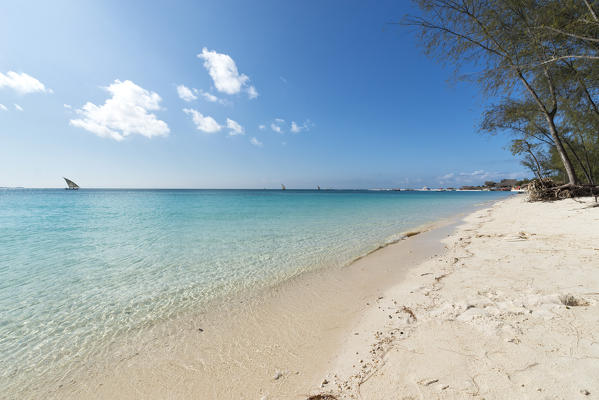 East Africa, Tanzania, Zanzibar, Kendwa beach on a summer day.
