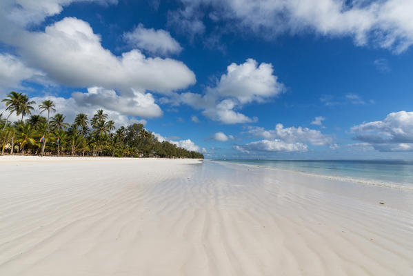 East Africa, Tanzania, Zanzibar, Kiwengwa beach on a summer day at low tide.