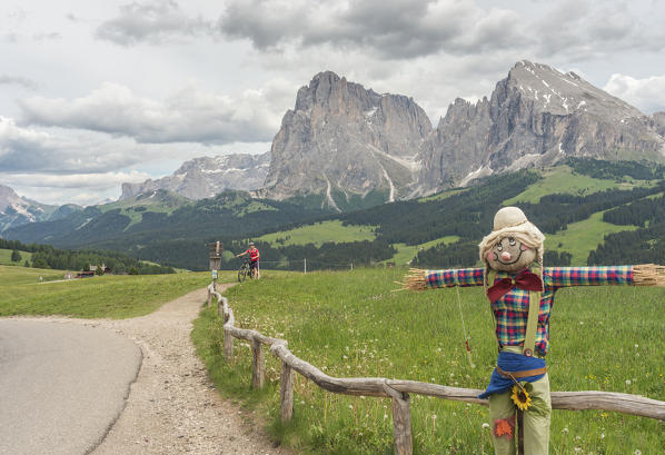 Alpe di Siusi/Seiser Alm, Dolomites, South Tyrol, Italy. View from the Alpe di Siusi to the peaks of Sassolungo/Langkofel and Sassopiatto / Plattkofel