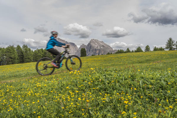 Alpe di Siusi/Seiser Alm, Dolomites, South Tyrol, Italy. A mountain biker on the Alpe di Siusi