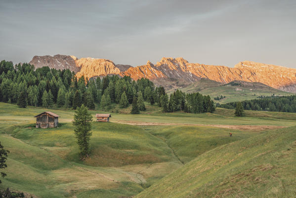 Alpe di Siusi/Seiser Alm, Dolomites, South Tyrol, Italy. Sunrise on the Alpe di Siusi