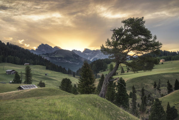 Alpe di Siusi/Seiser Alm, Dolomites, South Tyrol, Italy. Sunrise on the Alpe di Siusi