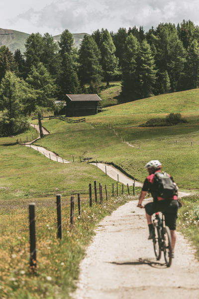 Alpe di Siusi/Seiser Alm, Dolomites, South Tyrol, Italy. Biker on the path.