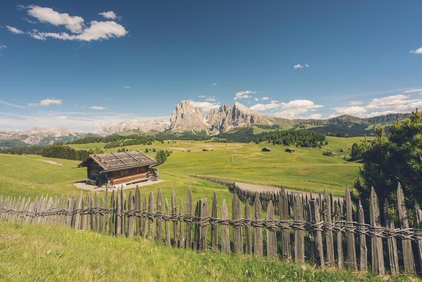Alpe di Siusi/Seiser Alm, Dolomites, South Tyrol, Italy.