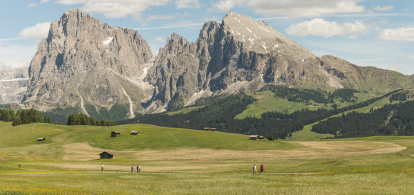 Alpe di Siusi/Seiser Alm, Dolomites, South Tyrol, Italy.
