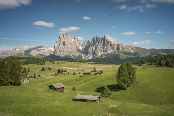 Alpe di Siusi/Seiser Alm, Dolomites, South Tyrol, Italy.