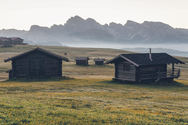 Alpe di Siusi/Seiser Alm, Dolomites, South Tyrol, Italy. Sunrise on the Alpe di Siusi