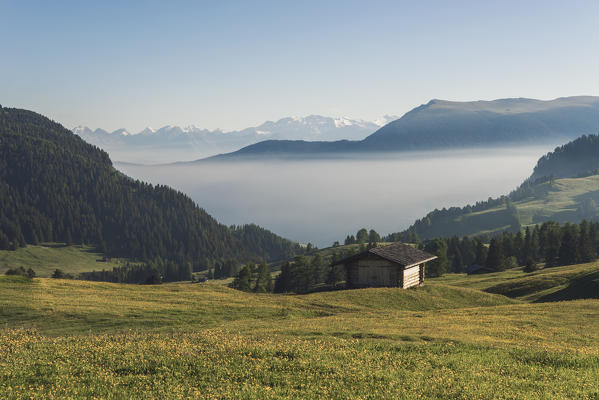 Alpe di Siusi/Seiser Alm, Dolomites, South Tyrol, Italy. Sunrise on the Alpe di Siusi