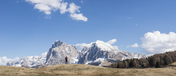 Alpe di Siusi/Seiser Alm, Dolomites, South Tyrol, Italy.