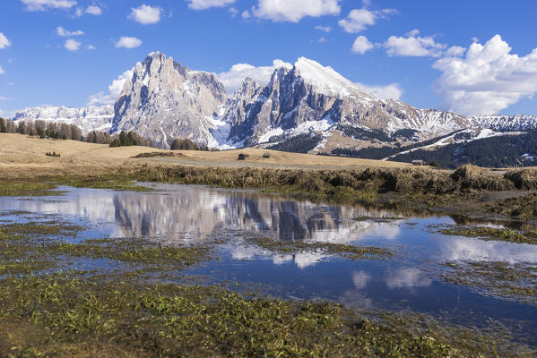 Alpe di Siusi/Seiser Alm, Dolomites, South Tyrol, Italy. View from the Alpe di Siusi to the peaks of Sassolungo/Langkofel and Sassopiatto / Plattkofel