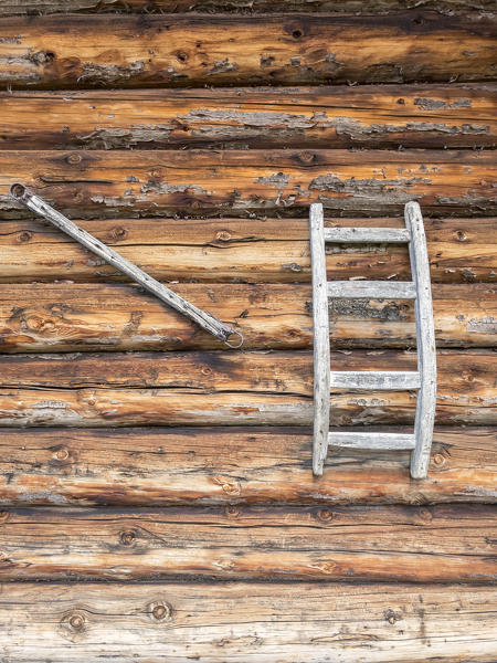 Alpe di Siusi/Seiser Alm, Dolomites, South Tyrol, Italy. A typicall mountan's house.