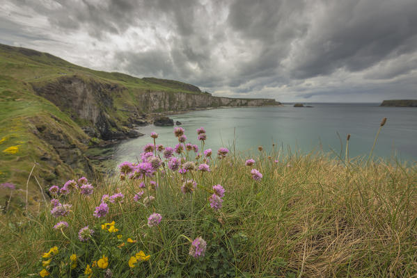 The Carrick a Rede Rope Bridge, Northern Ireland, Antrim, Ballycastle, Ballintoy, United Kingdom.