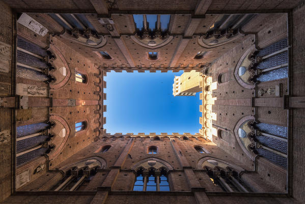 Siena, Tuscany, Italy, Europe. Classic bottom view of Palazzo Pubblico with Del Mangia's Tower at dawn.