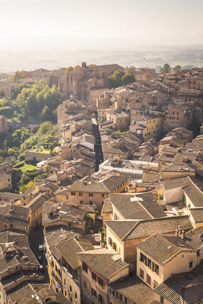 Italy, Tuscany, Siena district. Siena. View of Siena from Del Manga's Tower