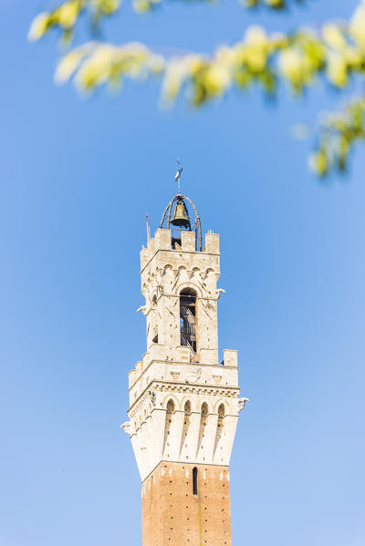 Siena, Tuscany, Italy, Europe. Del Mangia's Tower