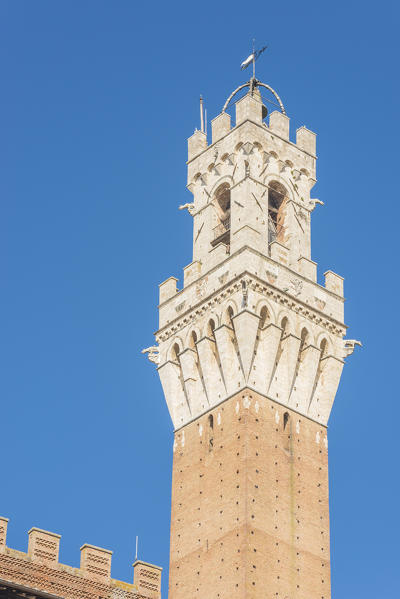 Siena, Tuscany, Italy, Europe. Del Mangia's Tower