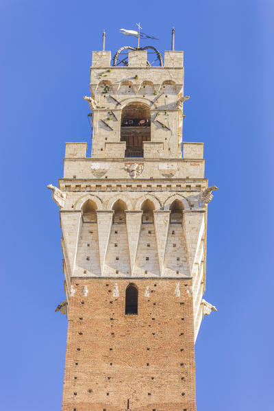 Siena, Tuscany, Italy, Europe. Del Mangia's Tower