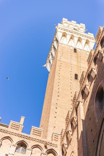 Siena, Tuscany, Italy, Europe. Del Mangia's Tower