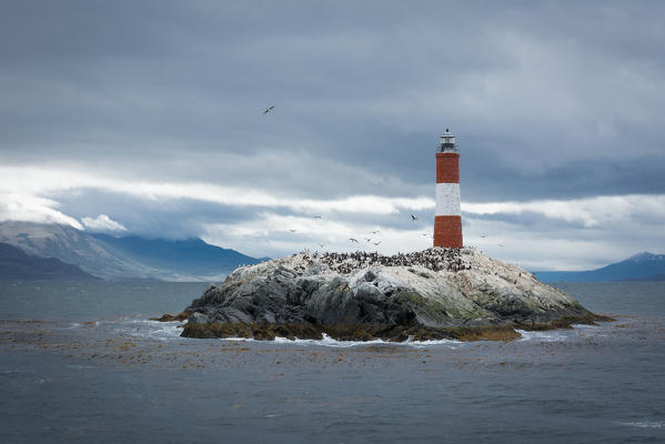 Argentina, Patagonia,Tierra del Fuego National Park, Ushuaia,Beagle Channel,Les Eclaireurs Lighthouse