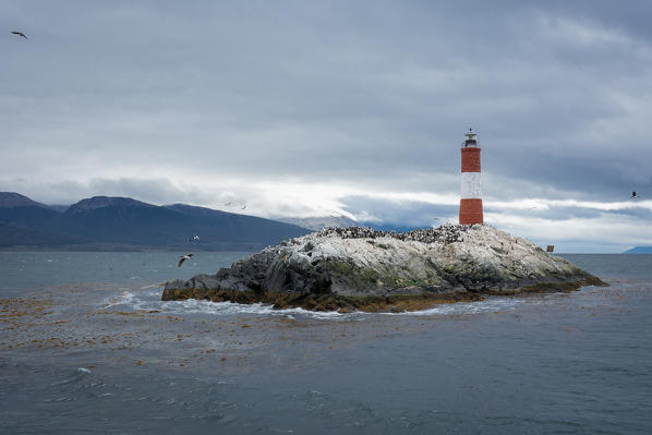 Argentina, Patagonia,Tierra del Fuego National Park, Ushuaia,Beagle Channel,Les Eclaireurs Lighthouse