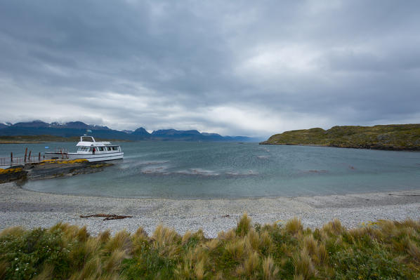 Argentina, Patagonia,Tierra del Fuego National Park, Ushuaia,Beagle Channel,Bridges Islands