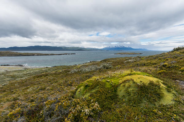 Argentina, Patagonia,Tierra del Fuego National Park, Ushuaia,Beagle Channel,Bridges Islands