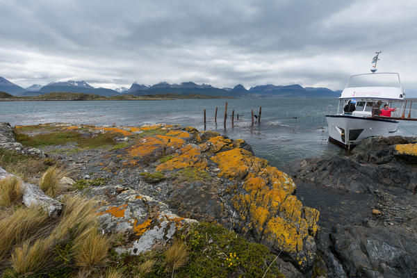 Argentina, Patagonia,Tierra del Fuego National Park, Ushuaia,Beagle Channel,Bridges Islands
