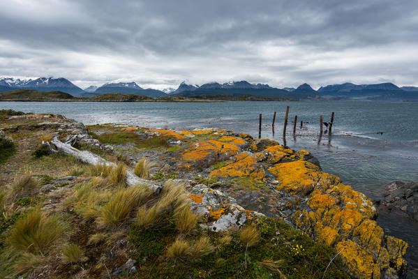 Argentina, Patagonia,Tierra del Fuego National Park, Ushuaia,Beagle Channel,Bridges Islands