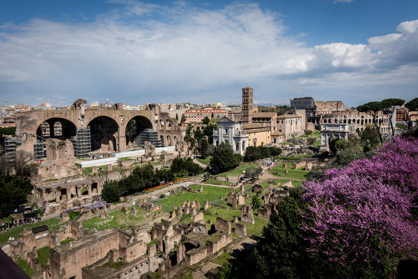 Rome, Lazio, Italy. Imperial fora