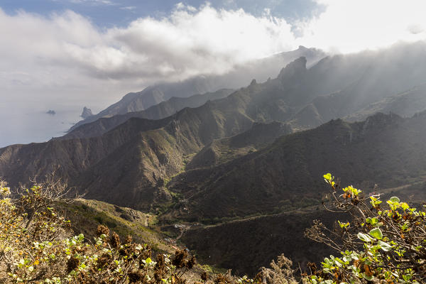 Spain,Canary Islands,Tenerife,mirador Risco Mogote,coastal mountain view