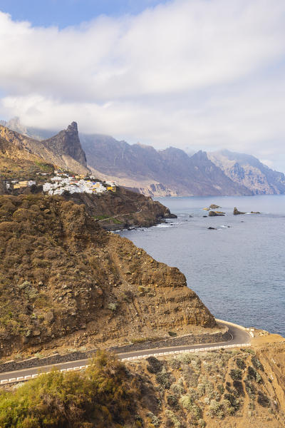 Spain,Canary Islands,Tenerife,Anaga Rural Park,Almaciga