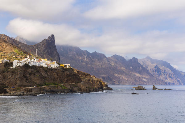 Spain,Canary Islands,Tenerife,Anaga Rural Park,Almaciga