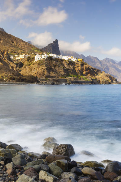 Spain,Canary Islands,Tenerife,Anaga Rural Park,Almaciga