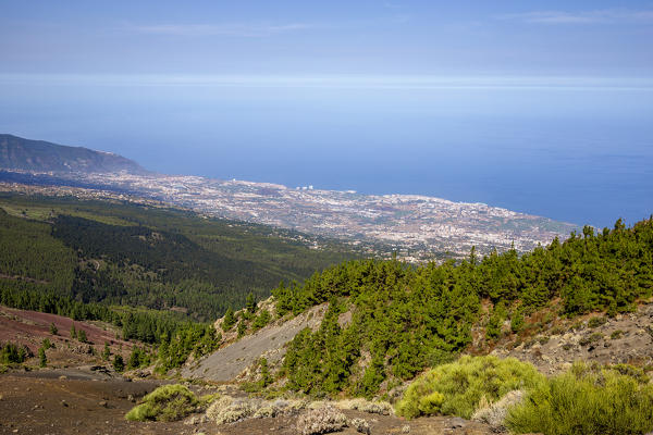 Spain,Canary Islands,Tenerife,Teide National Park,view of Puerto de La Cruz
